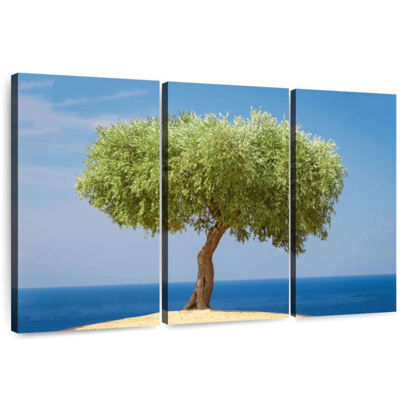 Harnek Single Olive Tree, 42" H x 65" W