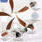 Damecia 5 - Blade Smart Standard Ceiling Fan with Remote Control and LED Light-1604776216-1557132348