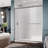  Reversible Double Sliding Shower Door with 6mm Clear Tempered Glass, 60”W*72”H-101945236-108648825