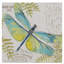 «Botanical Dragonfly 2» par Deagen, impression sur toile tendue-30363630