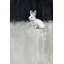 Parvez Taj - Wrapped Canvas Print-36743756