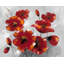 Napperon Botanical Anemone