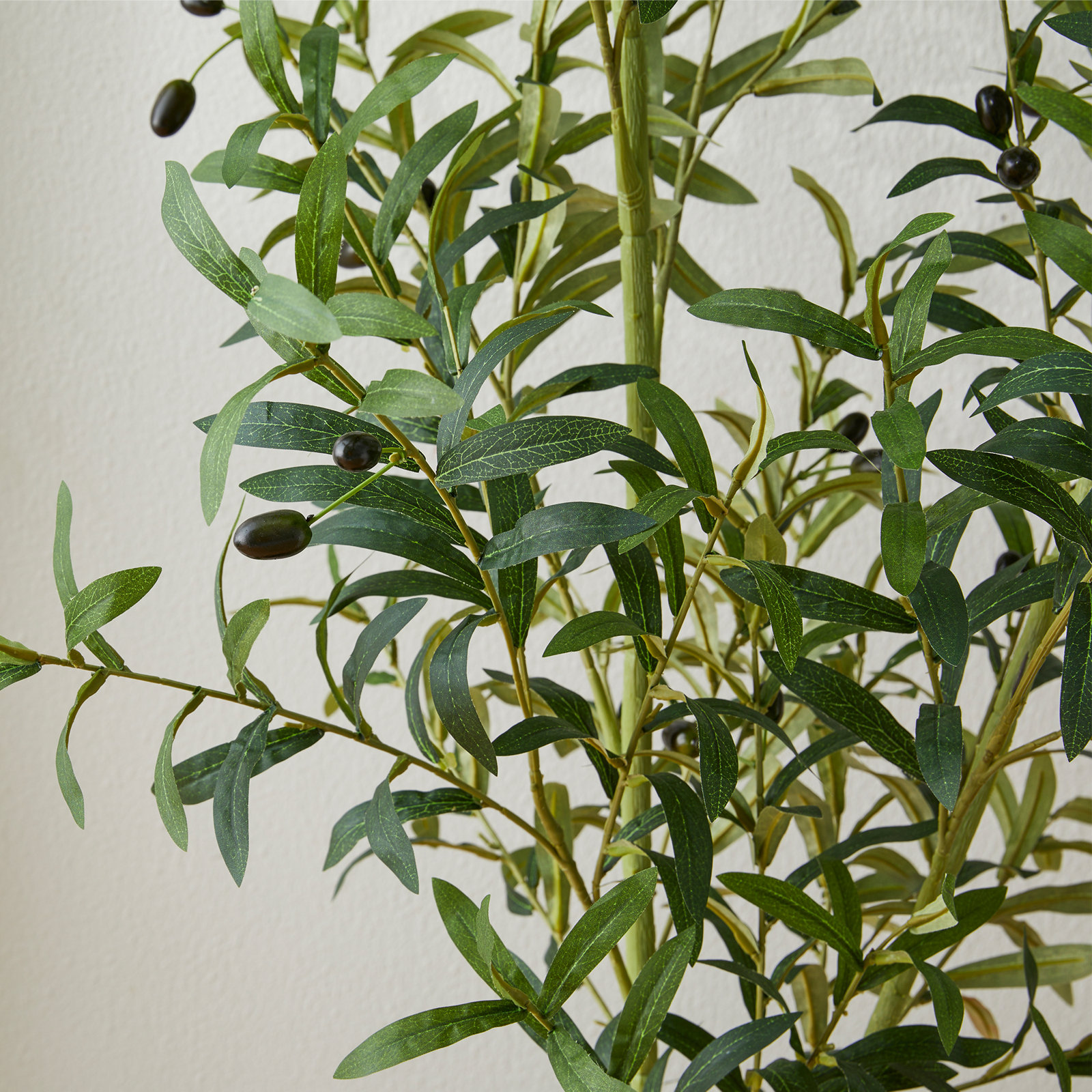 Amee 70" Olive Tree in Pot