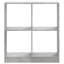 Selima 75cm H x 68.5cm W Bookcase