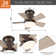 Tavontae 24'' Ceiling Fan with LED Lights