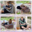 Velvet Reading Pillow-1106053930