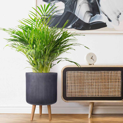 Ribbed Cylinder Planter with Feet