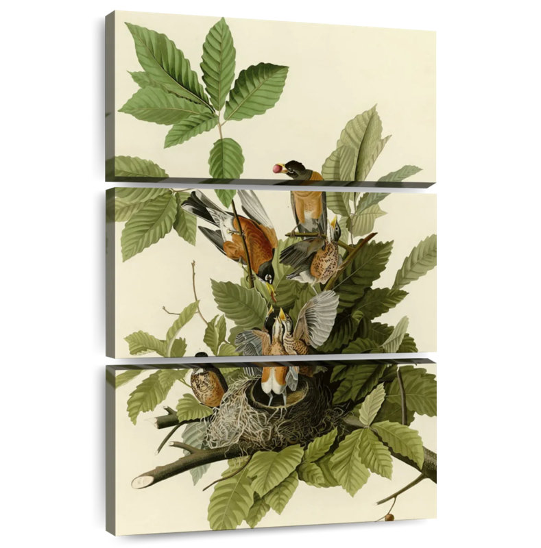 American Robin, 65" H x 42" W