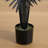 Artificial Halloween Black Paradise Palm Tree-1105342157