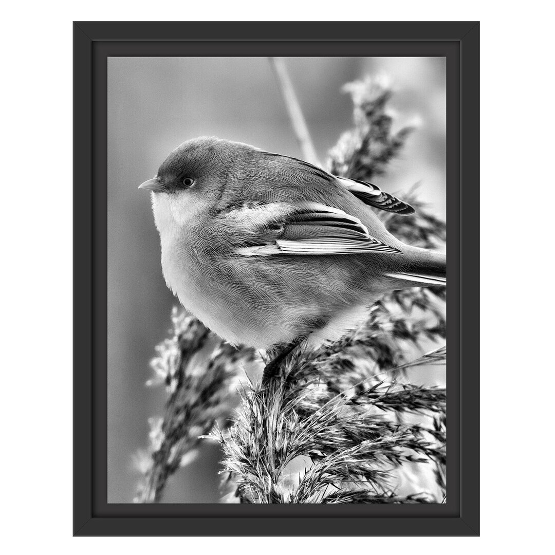 Gerahmtes Wandbild kleiner Vogel auf Weizen