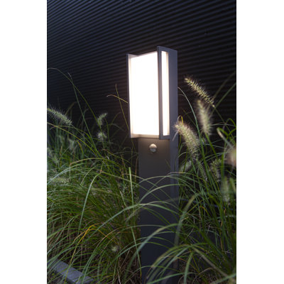 LED path light Axell