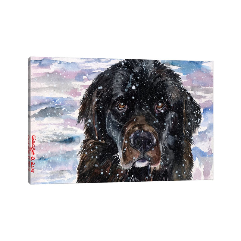 Newfoundland 1 Piece Wrapped Canvas Painting, 101.6 cm H x 66.04 cm W x 3.175 cm D