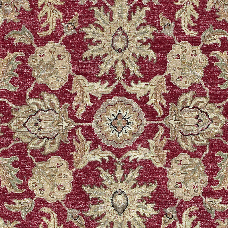 Darmstadt Wool Oriental Indoor Rug, Rectangle 2' x 3'