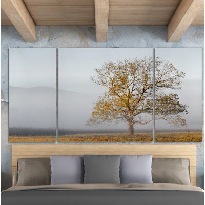 " Cades Cove "