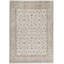 Oriental Area Rug in Ivory