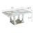 Silver Mirror Floral Pattern Rectangular Coffee Table