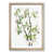 Oak Framed selected