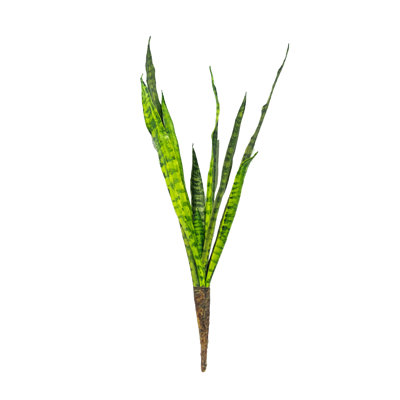 Ensemble de 3 plantes grasses artificielles