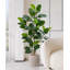 Décoration d'hévéa verte