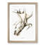 Cockeyed Squid by Carl Chun - Picture Frame Painting-57864602-57864599