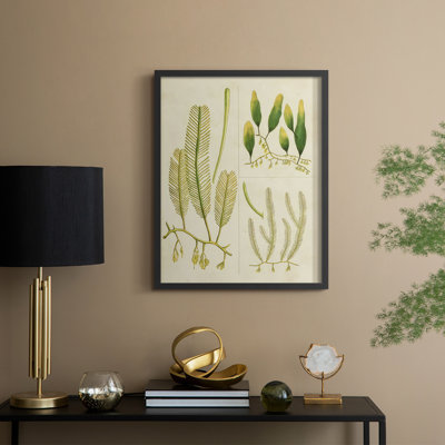 «Vintage Sea Grass I», reproduction encadrée - bois massif