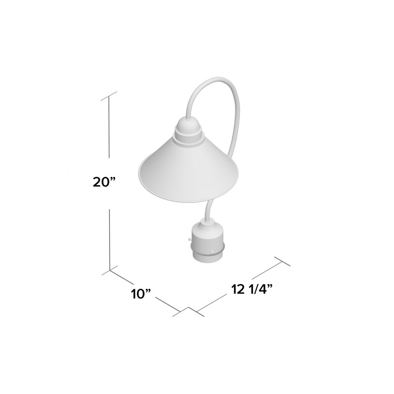 Lantern Head