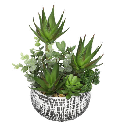27.94cm Plant