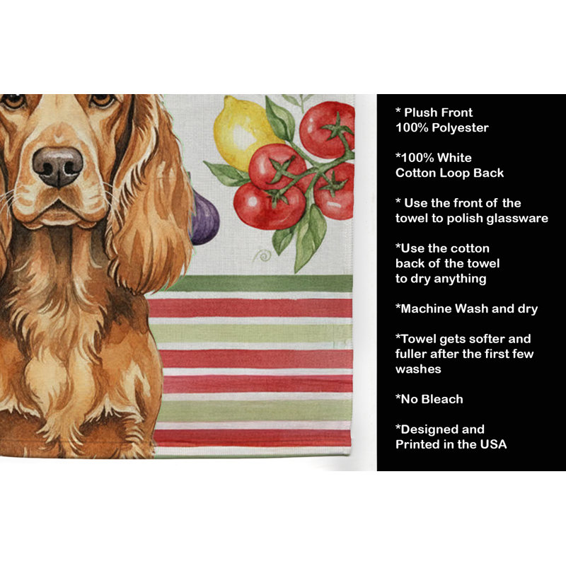 Torchon Sussex Spaniel, Sussex Spaniel
