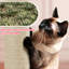 Arbre à chat 62,2 po à plusieurs niveaux pour petits / moyens chats-631658601