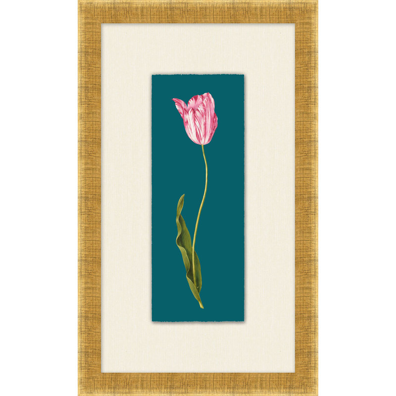 Tulipa Gesneriana 1 Print by Lillian August