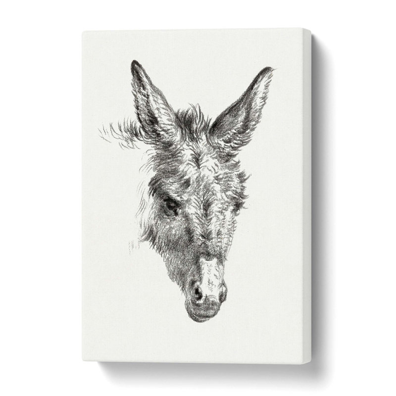 The Sketch Of A Donkey by Jean Bernard - Wrapped Canvas Print, 50.8 cm H x 35.6 cm W