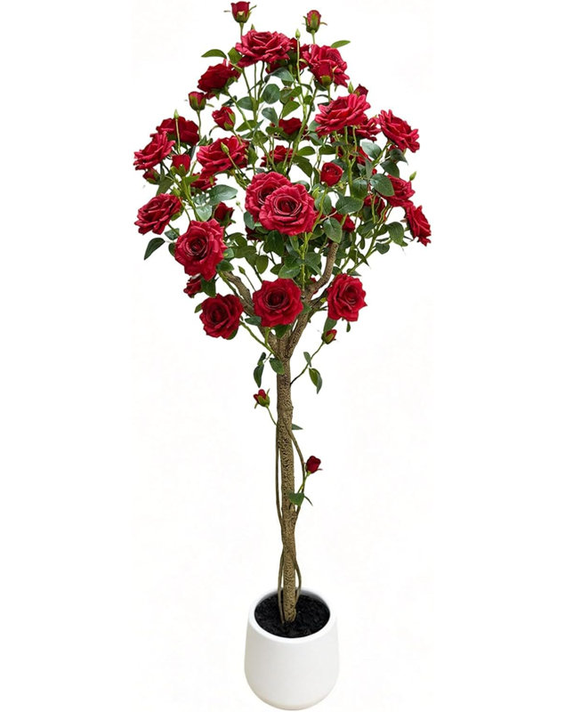 Arrangement, White