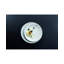 Assiette plate 10,75 po Villeroy & Boch Newmoon