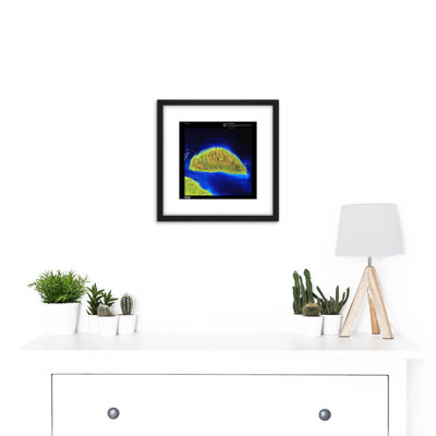 Earth Art USGS Island Rebound - Single Picture Frame Print