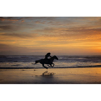 Sunkissed Horses IV by PHBurchett - Wrapped Canvas Print