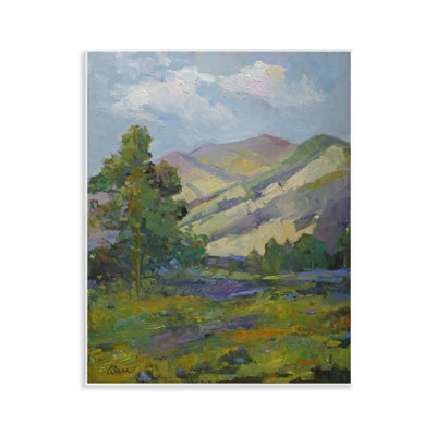 «Spring Day Mountain» par Alexi Fine