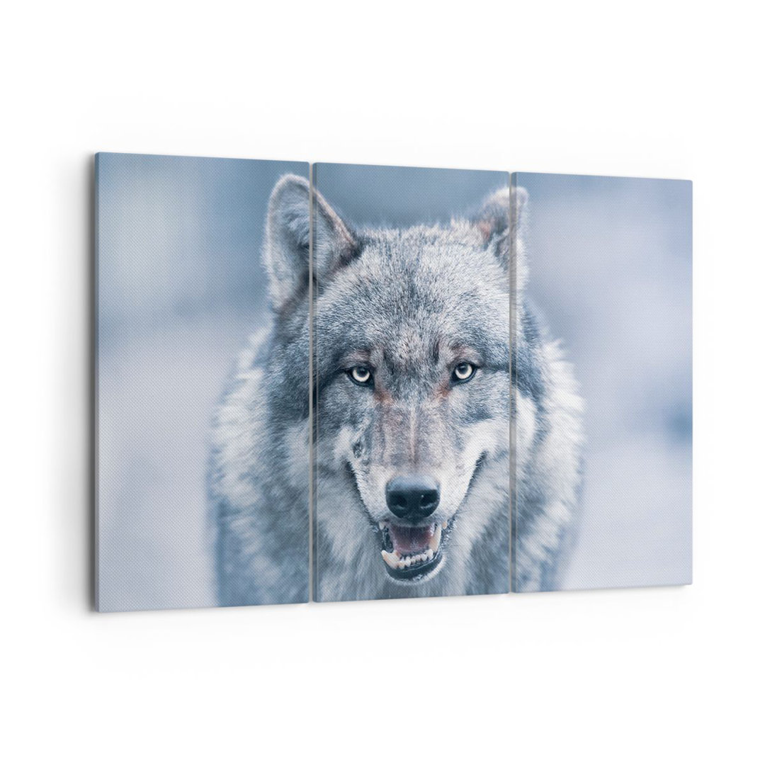 3-tlg. Leinwandbilder-Set Wolf Predator Wildness