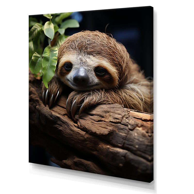 Rustic Repose Sloth sur toile, Toile tendue, H 20 po x l 12 po x P 1 po