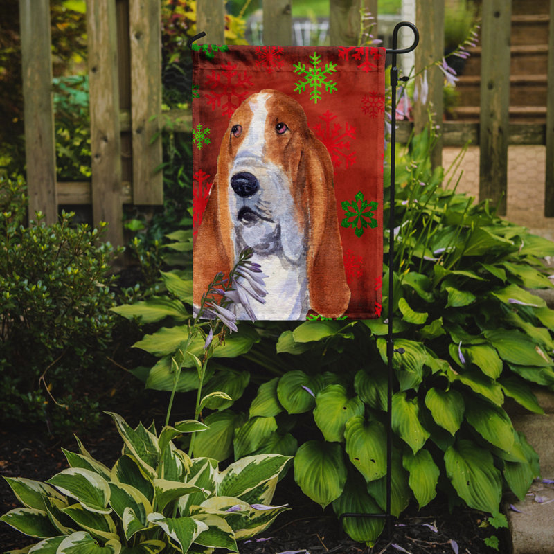 Drapeau rouge et vert Vart, Basset hound 5