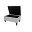 Repose-pieds rectangulaire avec rangement 29,5 po Zariyah-706272465