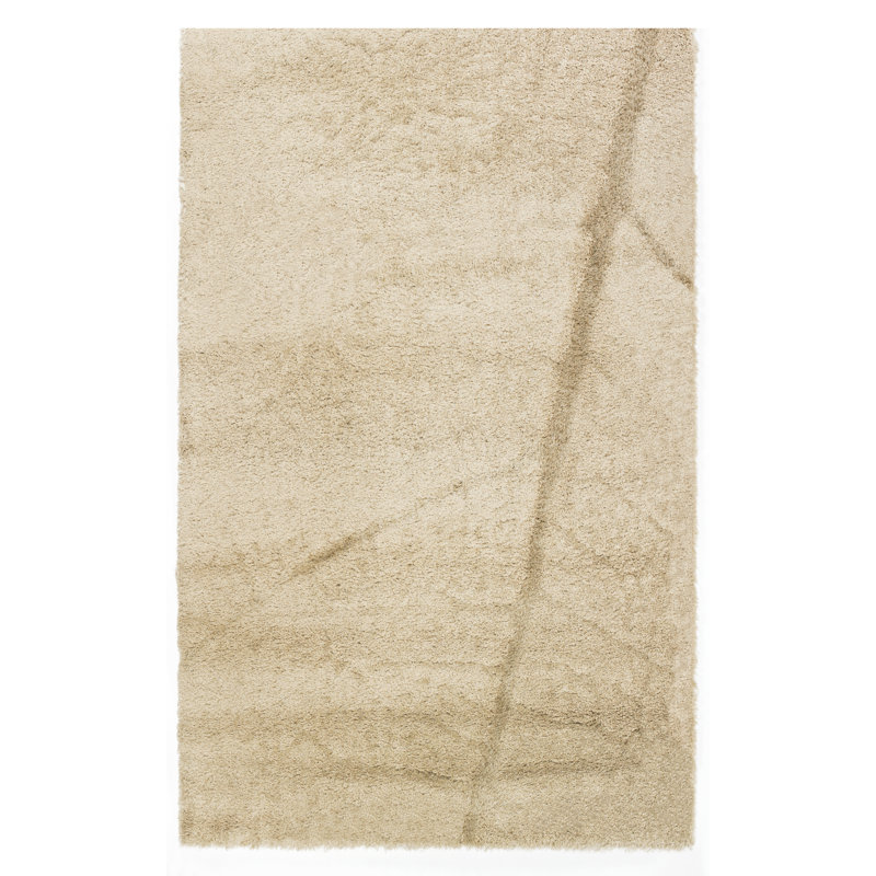 Tapis beige Chioma Twigsgy, Rectangle 7 pi 9,6 po x 11 pi 2 po