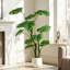 Plante artificielle Monstera 4 pi - 11 feuilles artificielles Monstera Deliciosa en pot à ventre blanc avec galets - Faux arbre à fromage suisse pour le salon, le bureau et la chambre à coucher