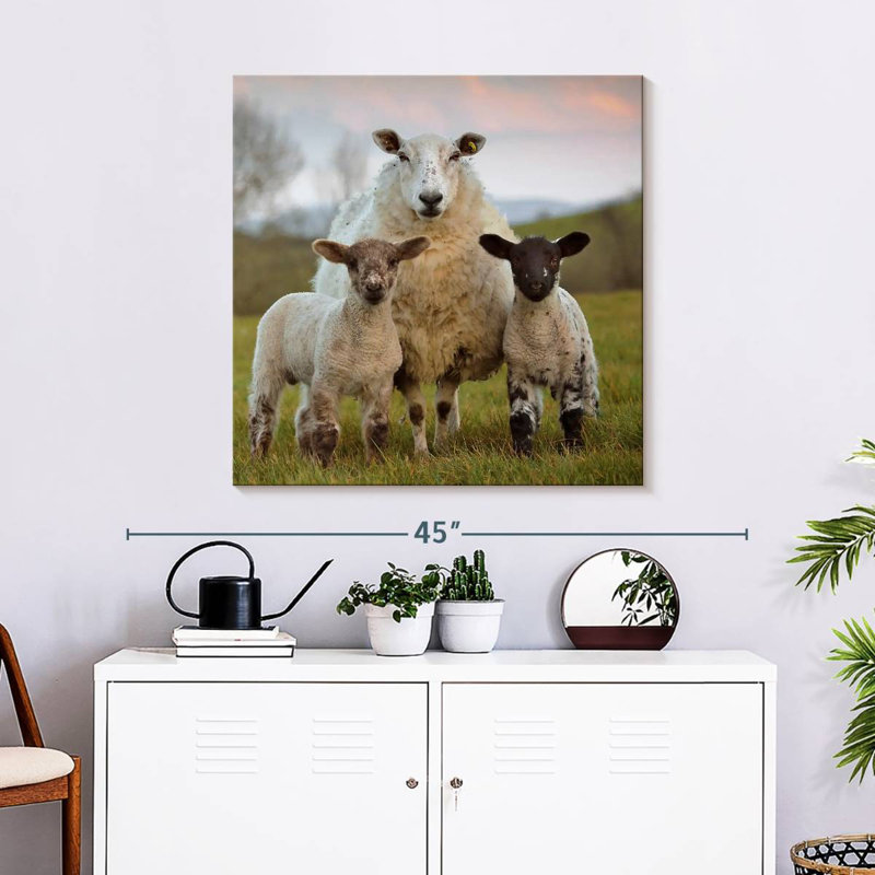 Brampt Markethill Sheep, 30" H x 30" W