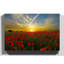 Landscape Red Poppy Meadow Sunset Photographic - Wrapped Canvas-19096286