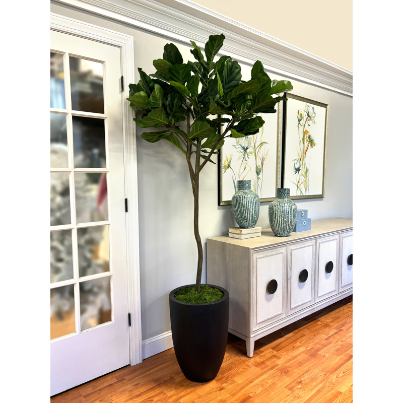 7 Faux Fiddle Leaf Fig Tree in Fiberstone Pot