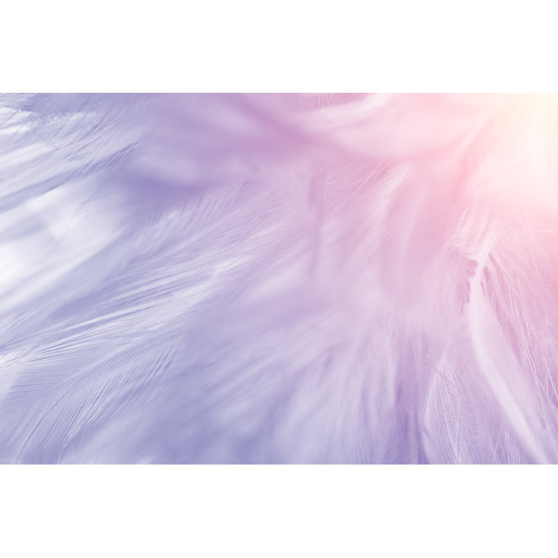 Feathers - Wrapped Canvas Print, 61cm H x 91cm W x 3.8cm D