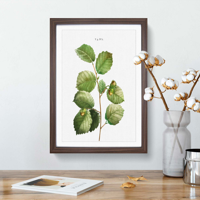 Hazelnut Tree Branch by Pierre-Joseph Redoute - Picture Frame Painting Print, 48cm H x 36cm W x 2cm D, Walnut Framed