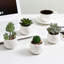 Faux Succulent Plant in Pot