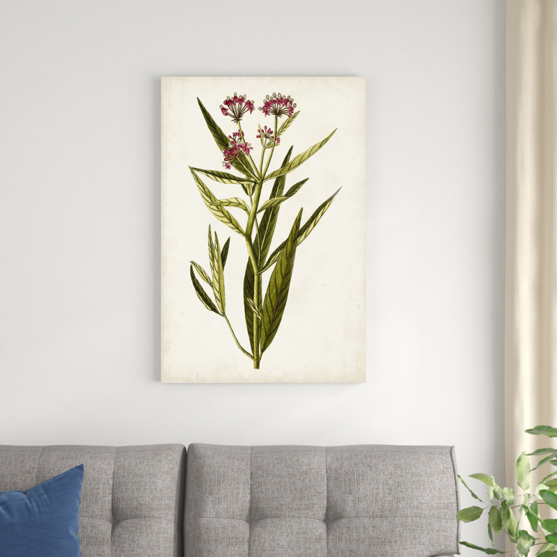 Étude botanique antique, H 36 po x l 24 po x P 1,25 po
