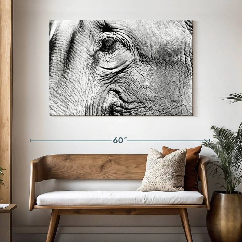 Brampt Elephant Close Up BW, 32" H x 48" W